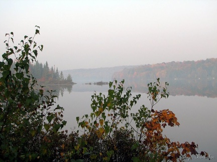 Lac paul- brouillard