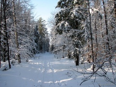 promenade skis 22janvier2006 010